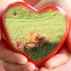 Meet your Posher, Leanne